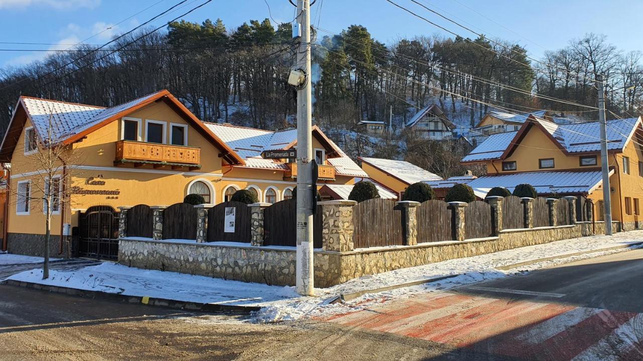 Casa Rasnoveana المظهر الخارجي الصورة